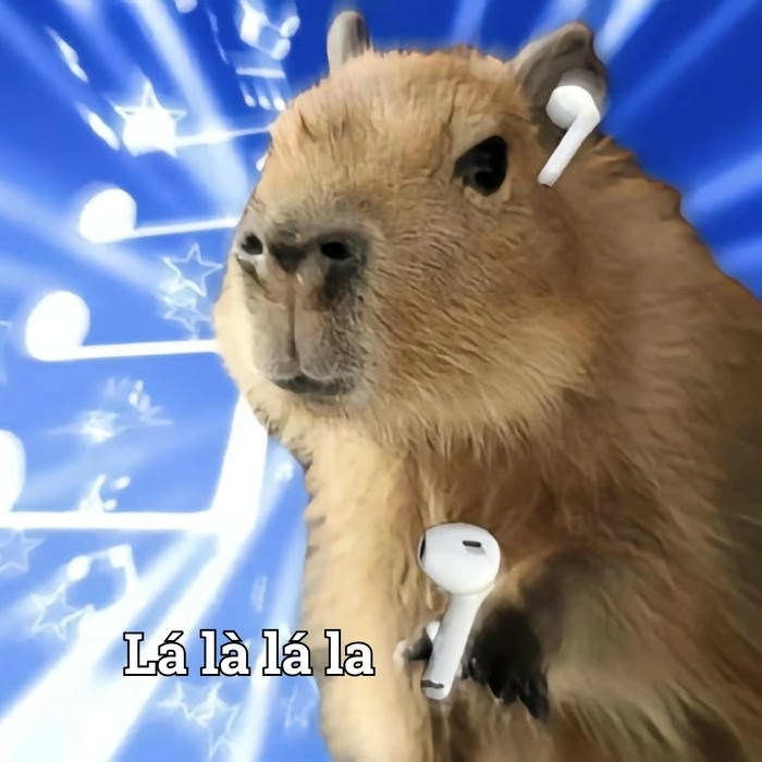 Capybara meme cute dễ thương hài hước