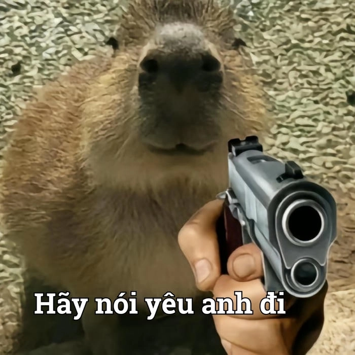 Capybara meme chibi siêu ngầu