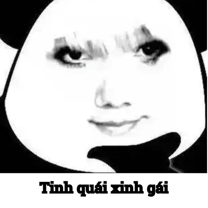 Gấu trúc meme mắt thâm quầng