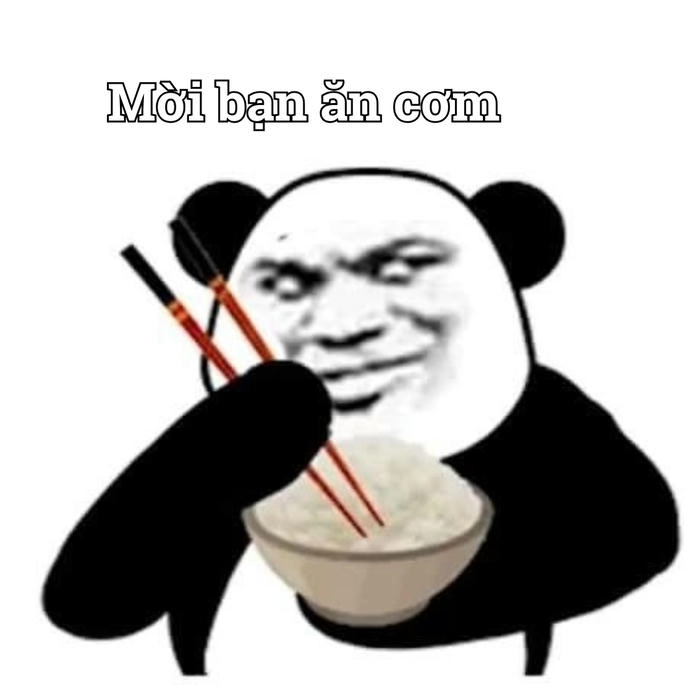 meme gấu trúc thâm mắt đẹp