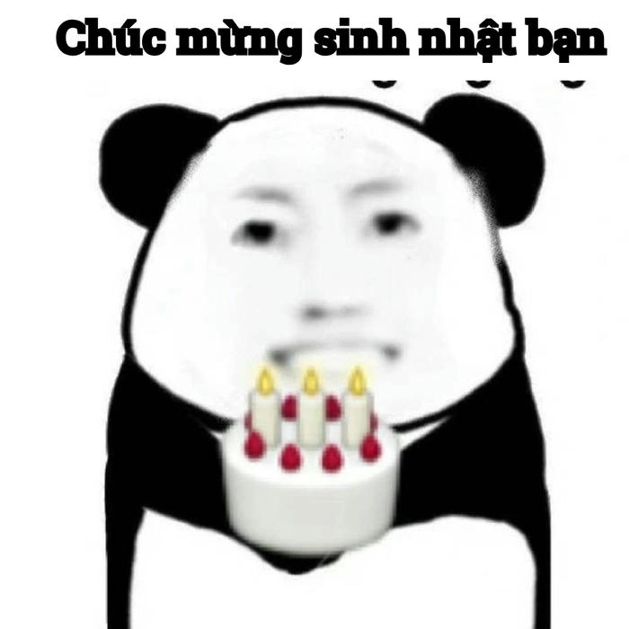 gấu trúc meme mắt thâm hài