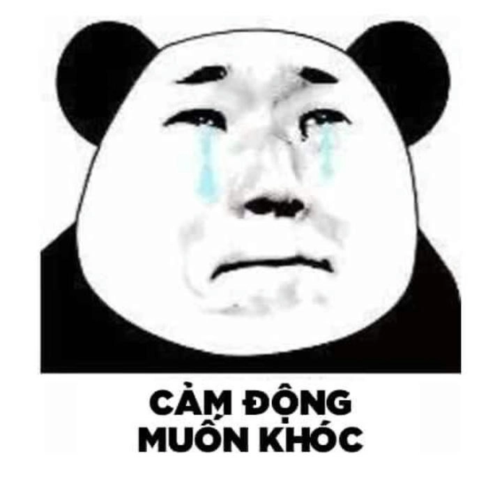 Gấu trúc mắt thâm siêu hài