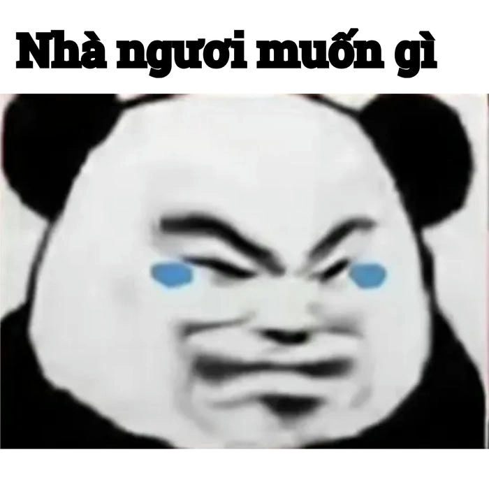 Mắt thâm meme con gấu trúc