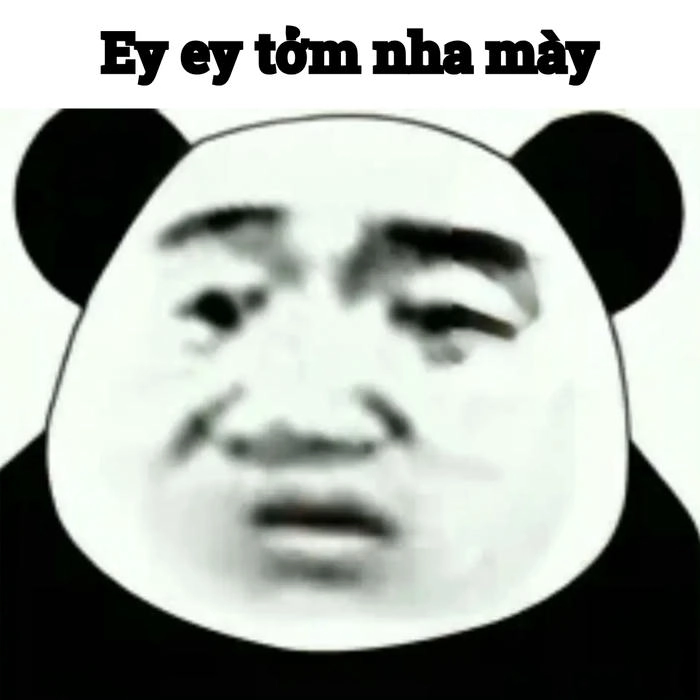 Gấu trúc meme với mắt thâm