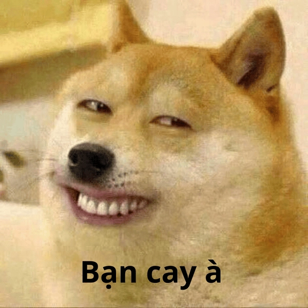 Meme cay không thể nhịn cười