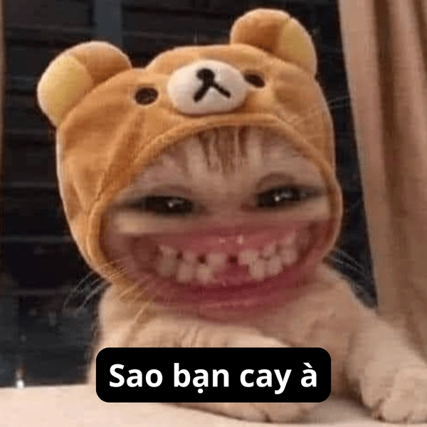 Meme bạn cay à cực hài