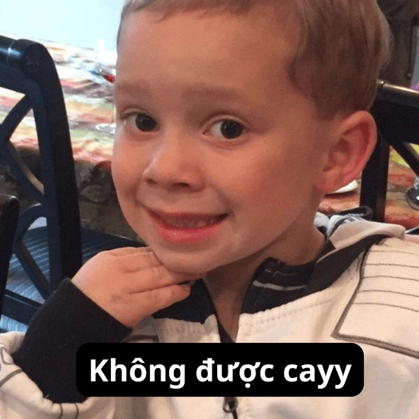 Meme cay thế nhờ ảnh chế