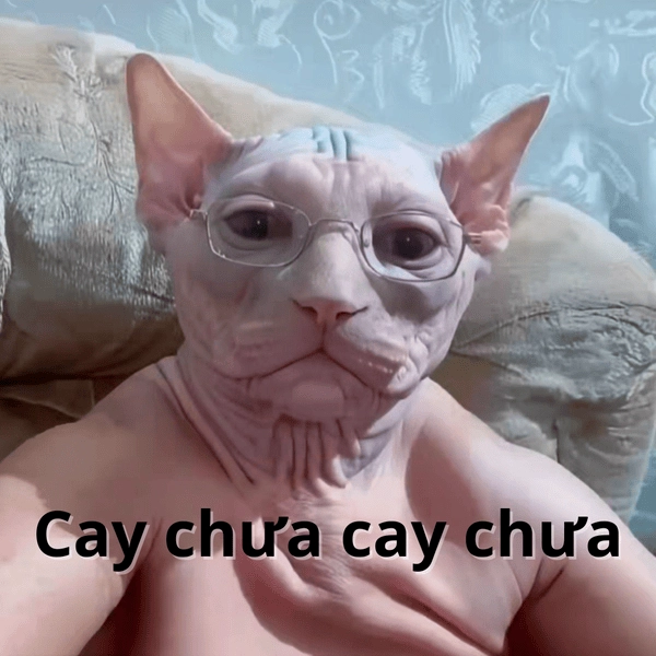 Meme cay thế nhờ quá gắt