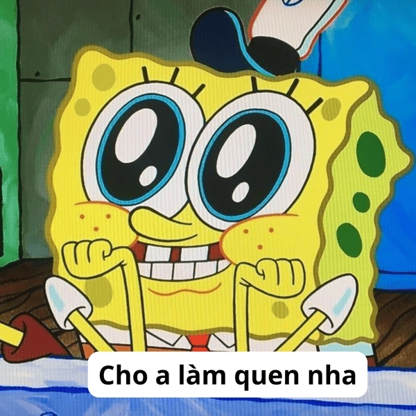 Ảnh chế meme bọt biển