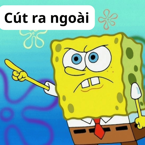 Meme bọt biển cute lạc lối