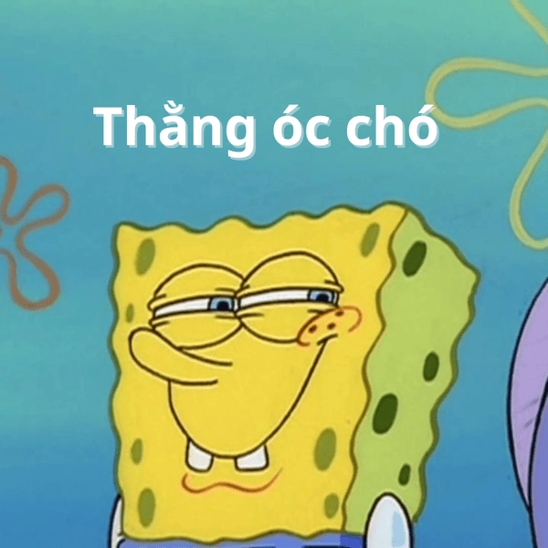spongebob meme độc đáo