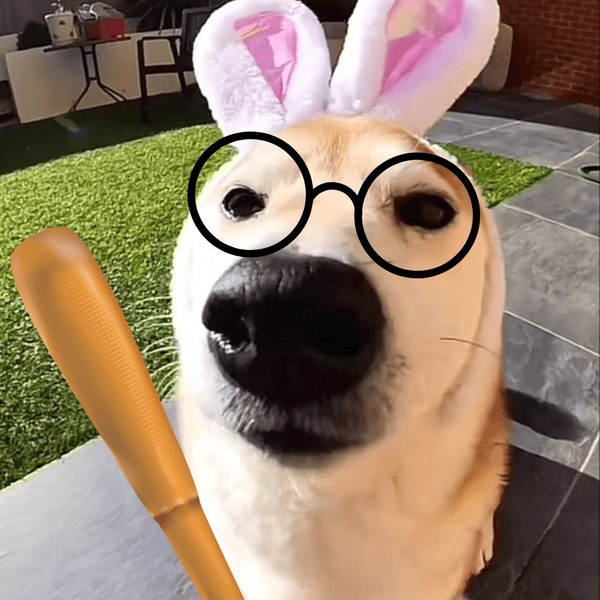 Hình meme con chó cầm cây gậy