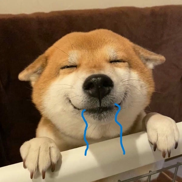 Meme chó dễ thương chảy dãi