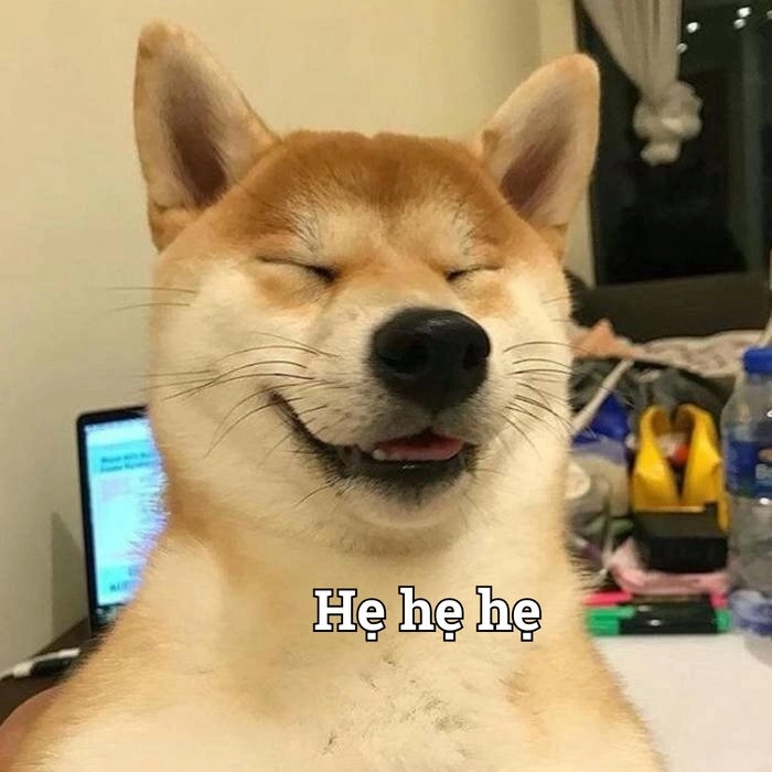 Ảnh meme chó mặt đểu