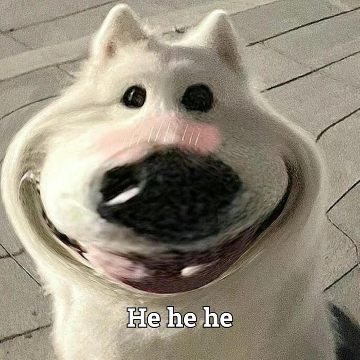 Hình chó meme đang cười đểu