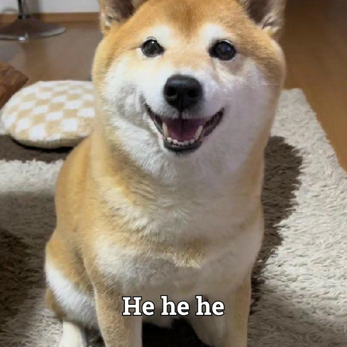 Ảnh chế chó meme với nụ cười đểu