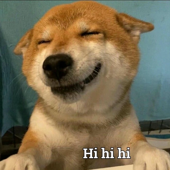 meme con chó cười đểu cute