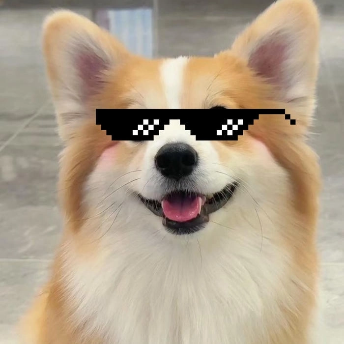 Chó đeo kính đen meme hài bá đạo