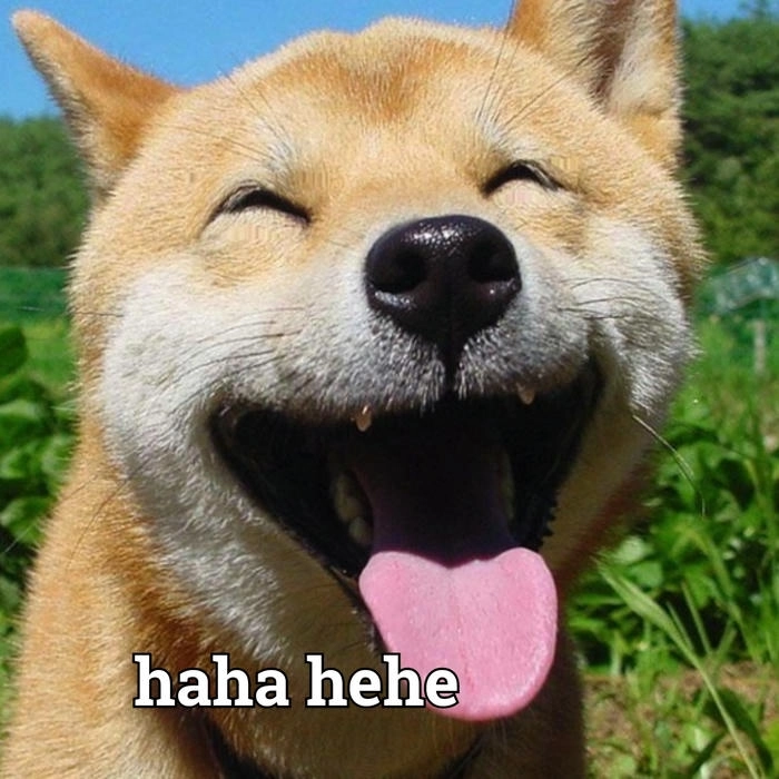 Meme chó lè lưỡi tấu hài 