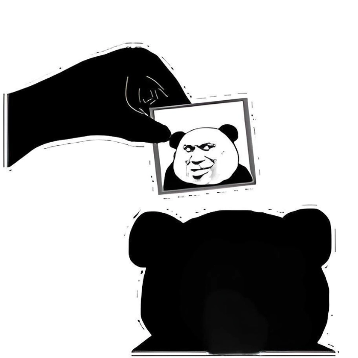 Bựa meme gấu trúc bá đạo