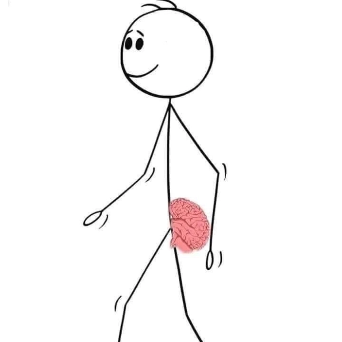 ảnh meme không chữ não lắp đít