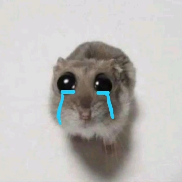 ảnh meme hài bựa ko chữ cute