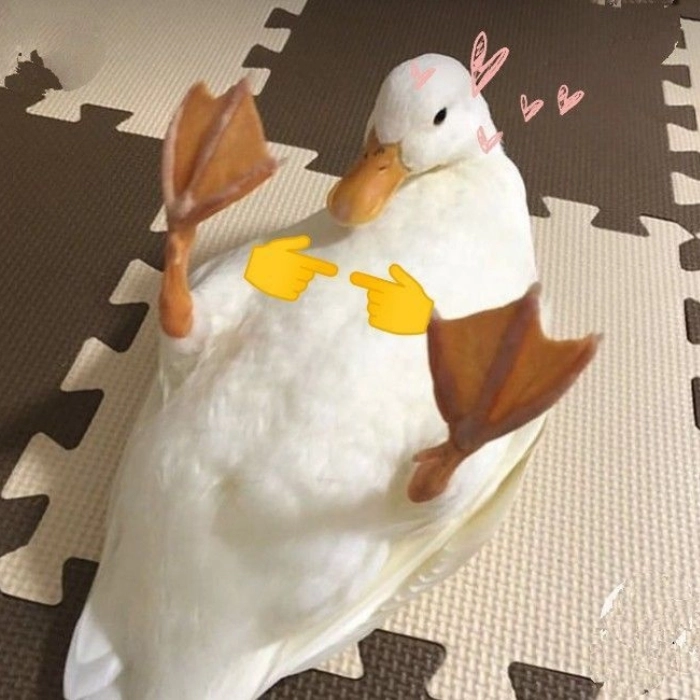 meme ko chữ con vịt