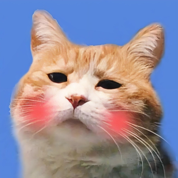 meme mèo bất lực