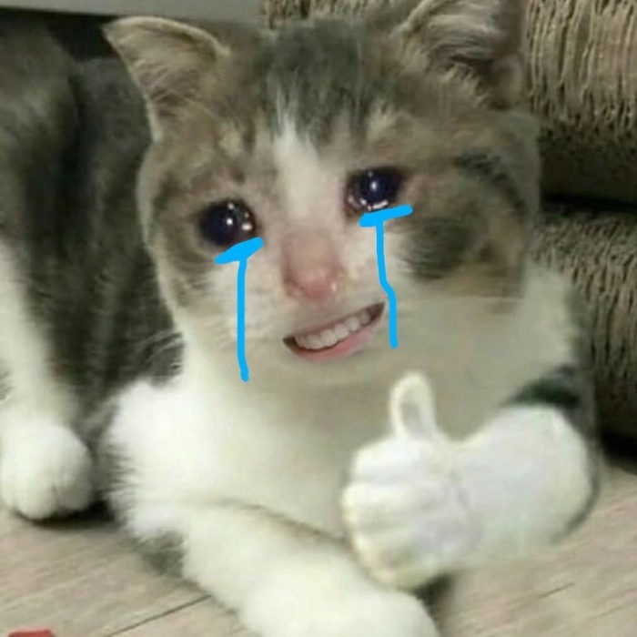 meme mèo cười nhẹ trong bất lực