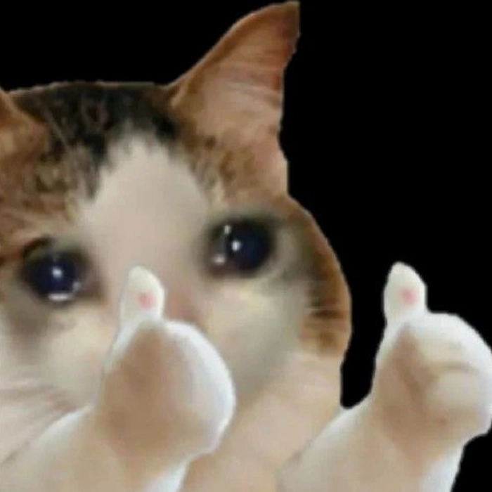 meme con mèo bất lực vì cuộc đời