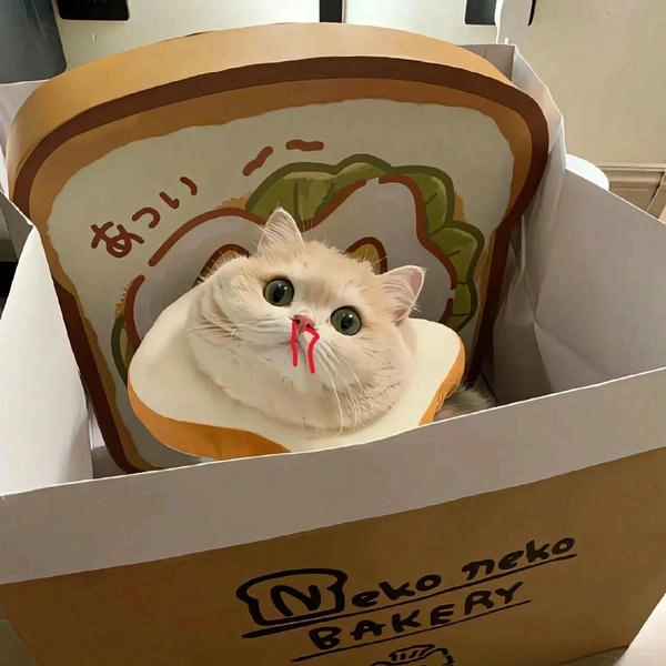 Ảnh meme mèo máu cam cực gắt 