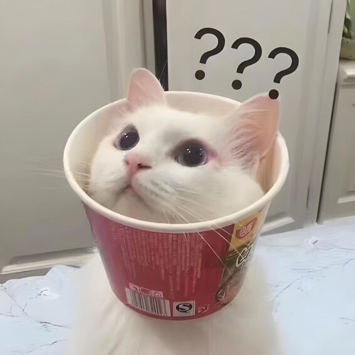 mèo nghi ngờ meme