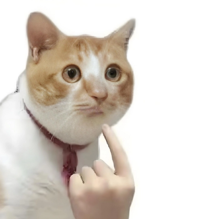 meme mèo nhìn nghi ngờ