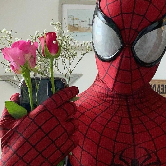 ảnh người nhện meme cực hài