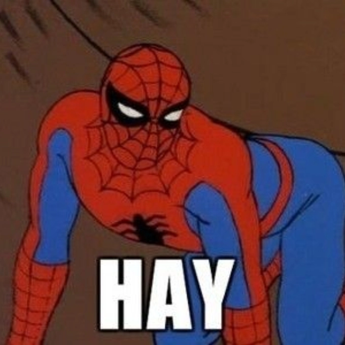 Ảnh người nhện meme gây cười