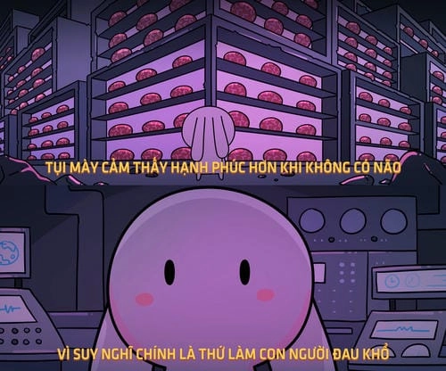 Thỏ 7 Màu meme lầy lội