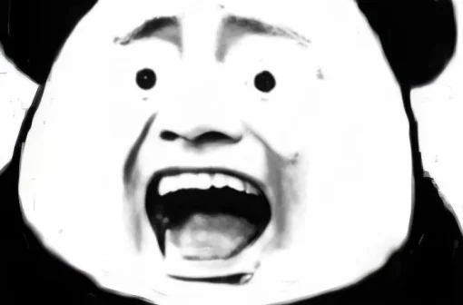 TOP 185+ meme gấu trúc ngạc nhiên khiến dân mạng cười xỉu