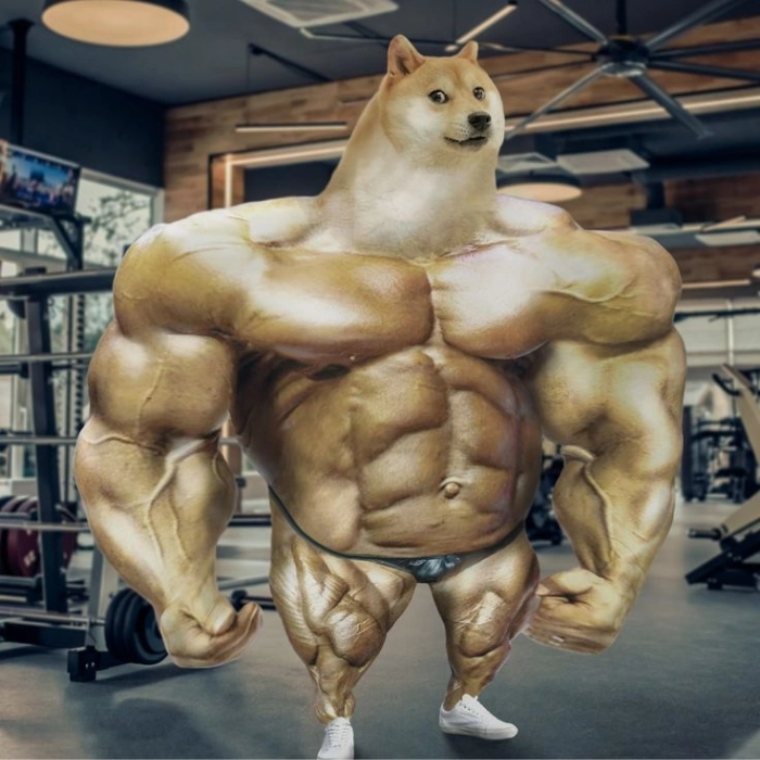 Meme chó cơ bắp thượng đẳng