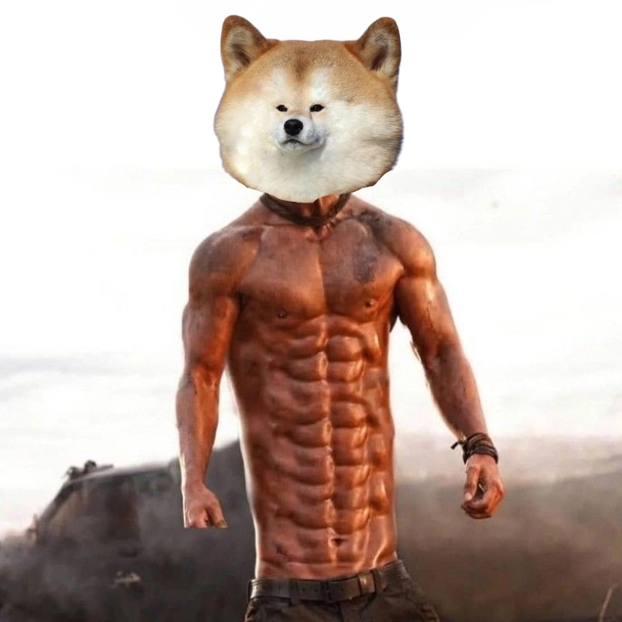 Meme chó vàng cơ bắp siêu chất
