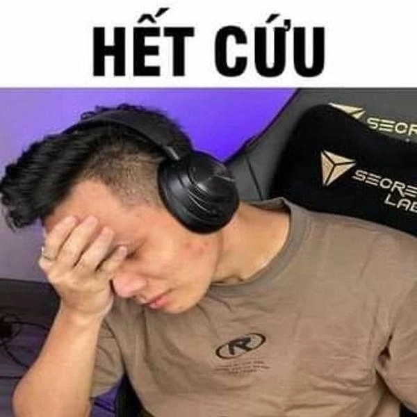 ảnh meme bất lực hài hước 