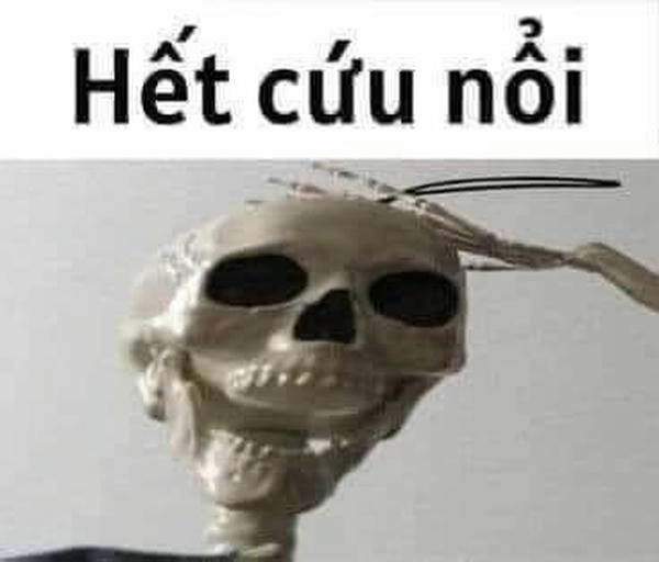 bất lực meme dành cho người cạn lời 
