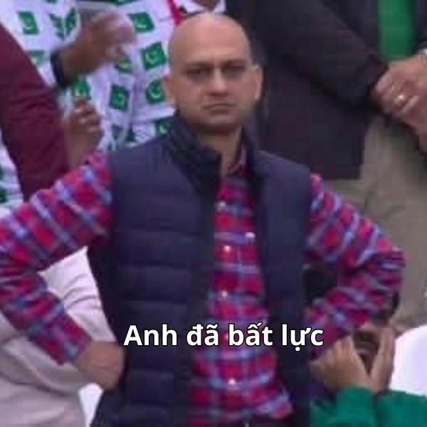 bất lực meme phản ứng chán nản 
