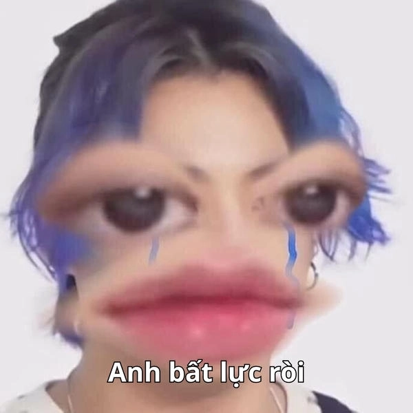 ảnh meme bất lực phản ứng nhanh 