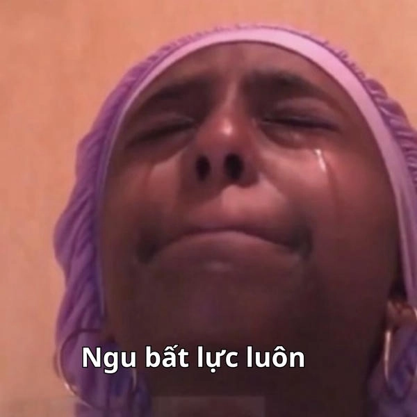 hình ảnh meme bất lực ngơ ngác 