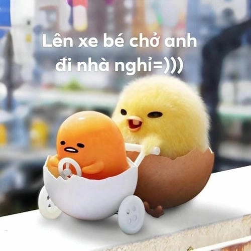 Ảnh meme dễ thương chất lượng 