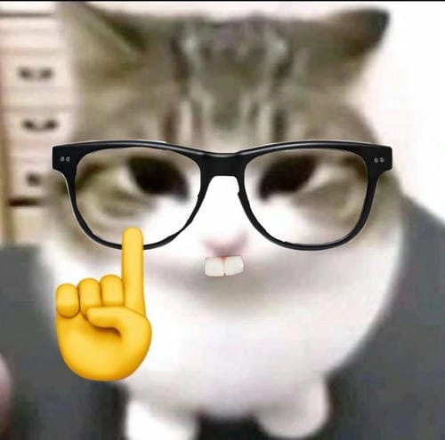 Hình ảnh meme hài hước dễ thương 