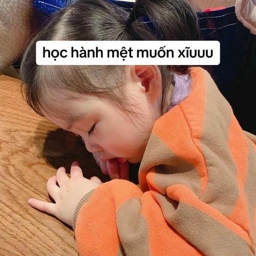 Meme siêu cute và dễ thương 