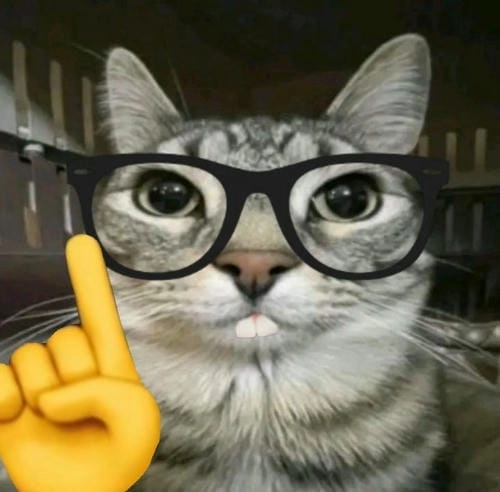 Ảnh meme cute đáng yêu 