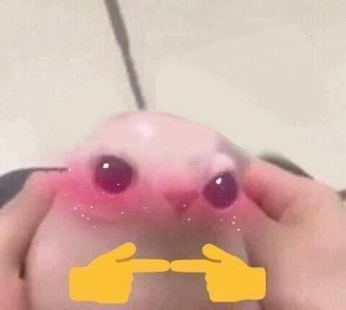 Ảnh meme đáng yêu vui nhộn