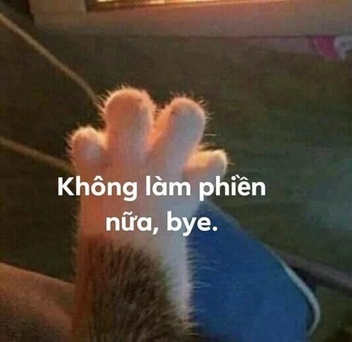 ảnh meme tạm biệt đáng yêu 